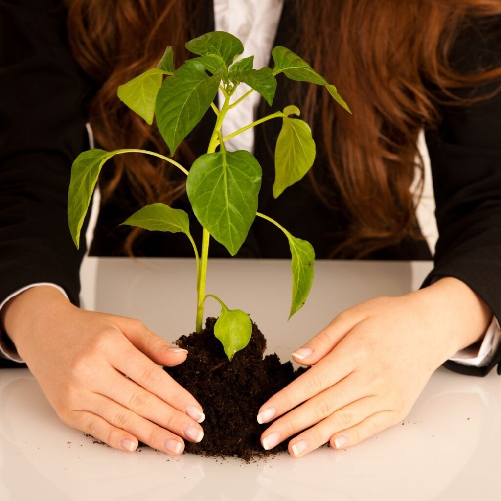 clé de Sol. parrainage